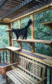 Tap For That 40 Off Or More Shire Fire Sale Lots Of Kitty Love For Everyone Plus Free Shipping Worldwide Cat Patio Outdoor Cats Diy Cat Enclosure