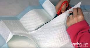 To make diy dog diapers, first of all, get a big sheet of dog pad and cut it in an hourglass shape. How To Make A Dog Diaper 3 Different Diy Methods Simple And Cheap