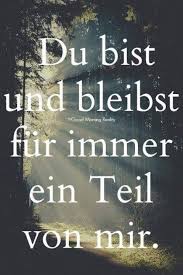 Hase Ich Habe Erst So Spat Geschrieben Da Ich Vorher Keine Klaren Gedanken Fassen Konnte Ich Hatte Nur Ang Spruche Trauer Traurige Spruche Spruche Wahrheit