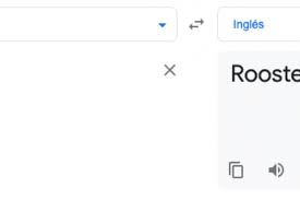 Ofrecidas por el equipo del traductor de google. Yel7jjfmvl26vm