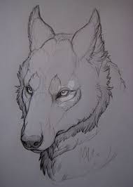 On Desenho Deviantart Monstermyrrdevia Of On Desenho Deviantart Monstermyrrdevia Of Animean Animal Drawings Animal Sketches Wolf Head Drawing
