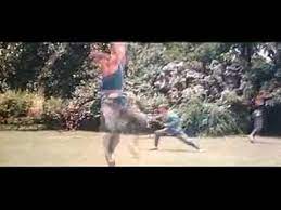 Iba a ser apadrinado por boca juniors (wey zapata oficial). The Shaolin Temple 1982 Original Trailer Youtube