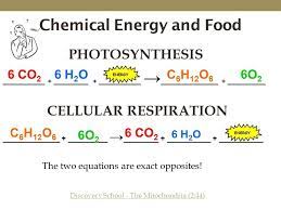 Oxygen and glucose are both reactants in the process of cellular respiration. What Is The Chemical Equation For Cellular Respiration Video Cellular Respiration Photosynthesis And Cellular Respiration Photosynthesis