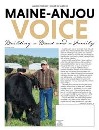 Maine Anjou Voice January February Issue 2019 By Edje Issuu