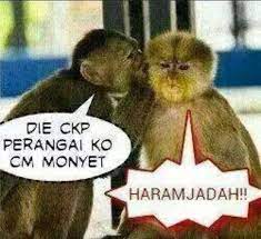 With whatsapp, you'll get fast, simple, secure messaging and calling for free*, available on phones all over the world. Gambar Lawak Whatsapp