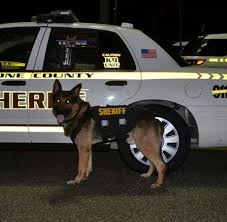Boone County Sheriff S Office Kentucky K 9 Dog Hero War Dogs Working Dogs