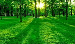 Large Size Desktop Wallpapers Top Free Large Size Desktop Backgrounds Wallpaperaccess