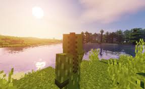 Continuando con el gran trabajo que hicieron para llevar paquetes de texturas realistas a minecraft, la llegada del ray tracing ha permitido que . Scott Eckosoldier ×'×˜×•×•×™×˜×¨ Installed A Shaders Mod Because I Can T Wait To Use Something Like This On My Xbox One Minecraft