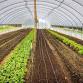 Beginning Farmer Workshop: Tools & Strategies for event image