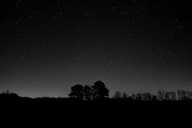 We did not find results for: Alam Bayangan Hitam Malam Foto Gratis Di Pixabay