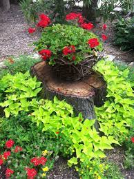 Pin By Pixels On Paper Photography Ww On Landscaping Tree Stump Planter Garden Yard Ideas Plants