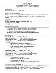 sample resumes suny canton