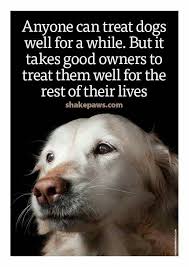 This Here Is So True Stop Abusing Animals Amen Dogs Dog Quotes Dog Quotes Love