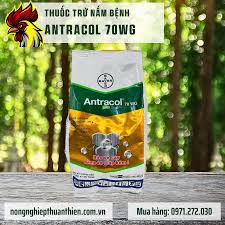 Antracol 70WG