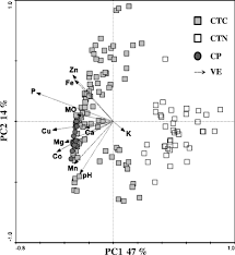 Image result for Crepidorhopalon