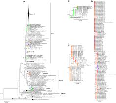 View the profiles of people named 杉山 ちか. Frontiers Molecular Epidemiology Of Rubella Virus Strains Detected Around The Time Of The 2012 2013 Epidemic In Japan Microbiology