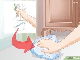 How To Get Rid Of Cat Spray Odor 12 Steps With Pictures