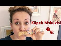 kopek odul biskuvisi tarifi healthy dog treats snacks recipe youtube yemek kopek saglikli