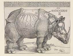 Jetzt erhältlich mit subd, rhino.inside.revit, vierecksneuvermaschung und mehr. Rhinocerus Das Rhinozeros Albrecht Durer 1515 Staatliche Kunsthalle Karlsruhe