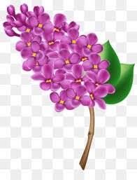 89 immagini gratis di fiori stilizzati. Bouquet Di Fiori Png Trasparente E Bouquet Di Fiori Disegno Vaso In Vetro Bouquet Di Fiori Fiore