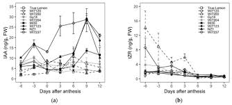 Check spelling or type a new query. Plants Free Full Text Cucumber Fruit Size And Shape Variations Explored From The Aspects Of Morphology Histology And Endogenous Hormones Html