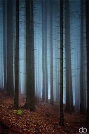 Pin On Nature Lovinnn