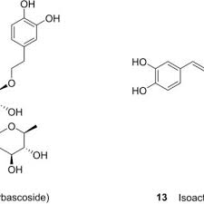 Image result for Kalaharia uncinata