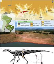 A new silesaurid from Carnian beds of Brazil fills a gap in the radiation  of avian line archosaurs | Scientific Reports