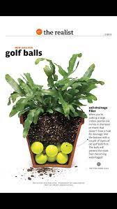 Golf Balls As Soul Drainage Filler On Indoor Potted Plants With No Drainage Hole From Real Simple Magazin Potted Plants Patio Plants Potted Plants Outdoor