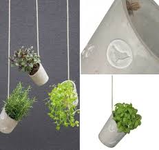 Az Eredeti Viragcserepek Lognak A Novenyek Kiemelkedo Hatasava Dekoracio Pflanzen Blumen Sukkulenten Im Glas