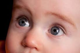 الجلوكوما الماء الأزرق المياه الزرقاء