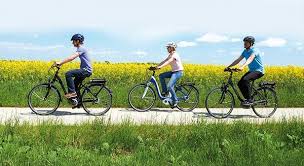 Stiftung Warentest Ebike Test Zwei Sieger Funf Fallen Durch