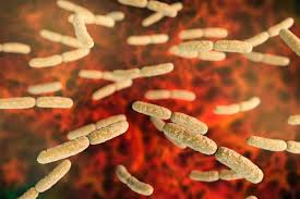 Leur administration nécessite une oui il y a comme tout médicaments des effets indésirables d'un autre coté faute de ce traitement beaucoup de personnes décèderais faute de traitement. Microbiote Et Depression Maux De Ventre Et Vague A L Ame