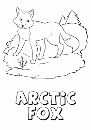 Select from 32066 printable crafts of cartoons, nature, animals, bible and many more. Arctic Fox Coloring Page Lovely Arctic Fox Coloring Pages Fox Coloring Page Arctic Fox Spider Coloring Page