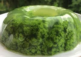 Sprei royals jacquard emboss hijau lumut t.30cm. Pudding Recipe Lumut Pandan Hijau Enak Hemat No Amis Egg Steemit