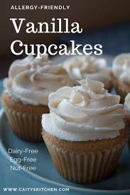 This is a very simple recipe to make. Egg Free Dairy Free Vanilla Cupcakes Dairy Free Frosting Dairy Free Cake Recipe Dairy Free Cupcakes