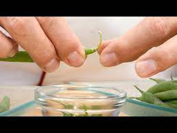 Then, let the beans drain until dry, and then take a needle and string, threading it through the beans. How To Clean Green Beans How To Trim Green Beans How To Prepare Green Beans Aka Broad Beans Youtube