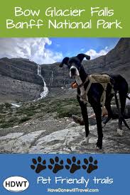 Maybe you would like to learn more about one of these? To Vulcan By Way Of Banff And Jasper Have Dane Will Travel In 2021 Banff Dog Friendly Vacation Road Trip With Dog