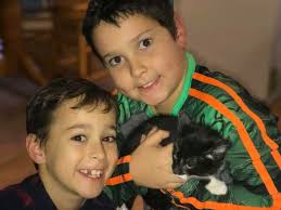 Elvis' tale: How lost cat wound up being euthanized