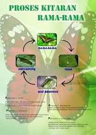 Posted by unknown at 04:19. Poster Perkembangan Haiwan
