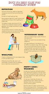 Check spelling or type a new query. Pet News Articles Urban Pet Hospital Blog How To Take Care Of Pregnant Dogs