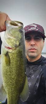 Pretty good afternoon