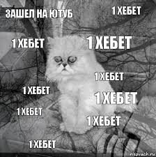 Generating cats with stylegan on aws sagemaker. Create Meme Buski Sparrows With A Cat Forever Does Not Exist Risovac Pictures Meme Arsenal Com