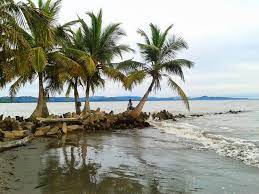 Protector solar o bloqueador, un muy buen libro y lo demás es irrelevante. Peaceful Beach Iin Necocli Antioquia Uraba Beach Palms Ocean Colombia Travelandmakeadifference Antioquia Colombia Colombia Paisajes