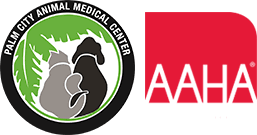 The guys who own the place have have a lot of expertise in nutrition; Doctors Vet In Palm City Palm City Animal Medical Center