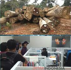 Lowongan kerja bnn jawa timur & poltekes banten. 200 Pekerja Kontraktor Landclearing Tagih Gaji Di Pt Sma Pekanbaru