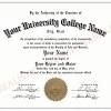 An honorary doctorate is often bestowed upon dignitaries and other people who have significantly contributed to a college or university. Https Encrypted Tbn0 Gstatic Com Images Q Tbn And9gcstsdne5ukv5 Lec Vdfw2mgr6zulm Owpf1rcirhl0bysmsg2l Usqp Cau