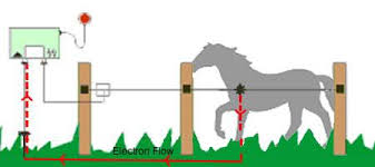 How does an electric fence work speedrite electric fence. What Is A Great Electric Fence Get Yours Here Agrisellex