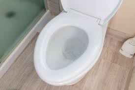 Check spelling or type a new query. How To Clean The Rim Jets On A Toilet Bowl