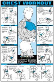 Chest Workout Professional Fitness Gym Instructional Wall